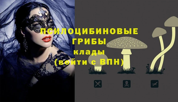 мет Краснослободск
