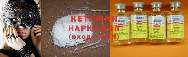 шишки Коряжма