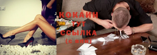 шишки Коряжма