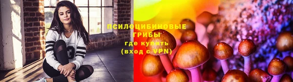 мет Краснослободск