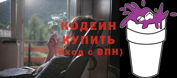 шишки Коряжма