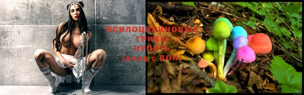 прущие крисы Корсаков