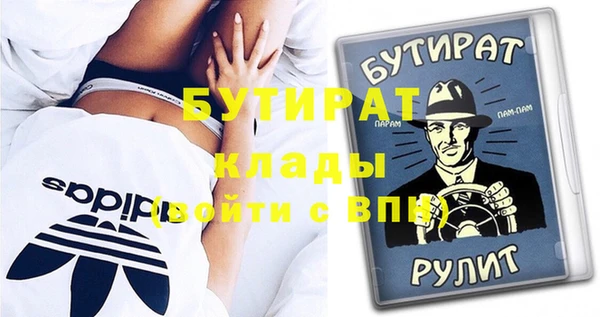 шишки Коряжма