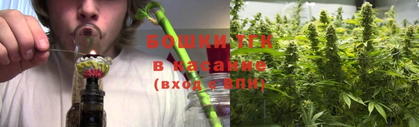 мдпв Карпинск