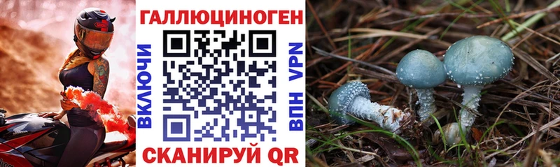 Псилоцибиновые грибы прущие грибы  Кондрово 